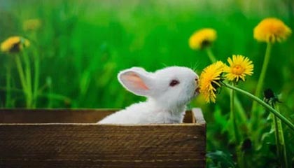 世预赛高清直播入口-邓亚萍：为什么从一位体育明星，变成公益明星？